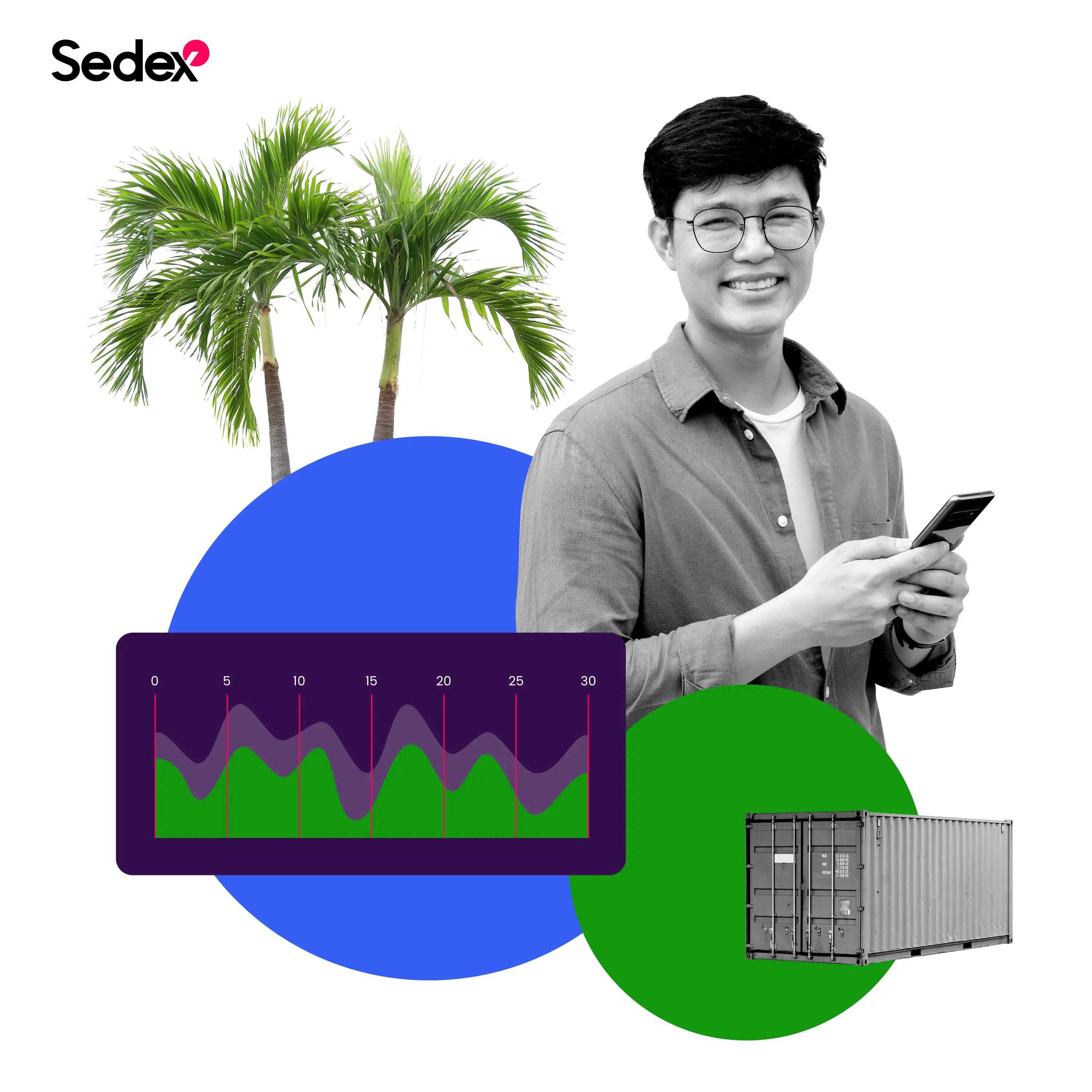 Real Locks & Security Co., Ltd. Sedex 會員標誌，會員編號 ZC5000011480